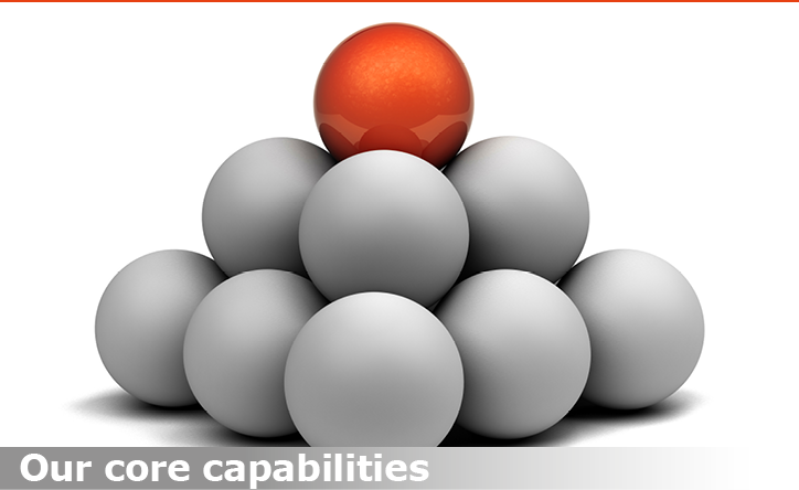 Our core capabilities